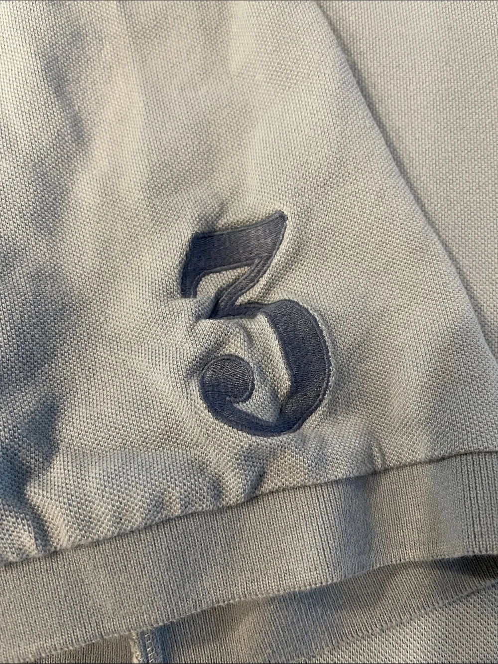 Ralph Lauren Light Blue Polo Shirt with Embroidered Logo